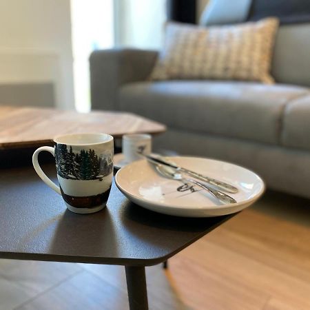 Plein Centre, T3 5P Totalement Renove 55M2. Wifi Apartment Cauterets Exterior foto